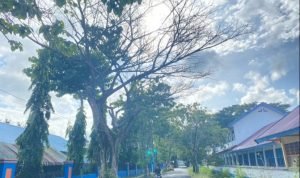 65d1374a-5e65-4c43-a3b0-932b1e4bbc05