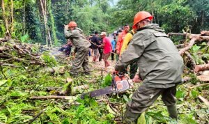 cf2c4b2f-23ea-4192-aeb1-fbe09eedde07