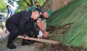 25bd0b8d-6983-410c-a57a-023188e7cff8