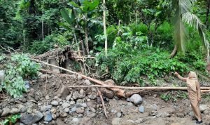 e38764a7-3a30-4392-a74f-aa5b337d3970