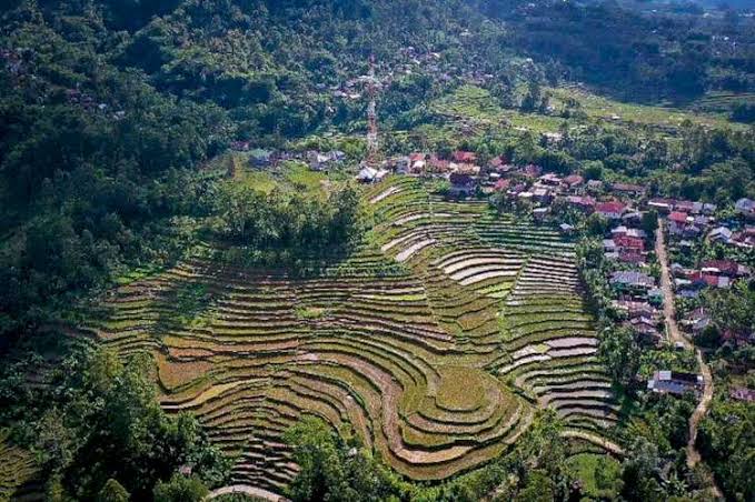 Luar Biasa Desa Barania Sinjai Juara I Lomba Desa Tingkat Sulsel