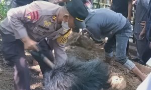 3814fc48-11d4-417f-8006-f7dbd714e999