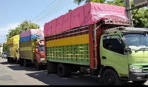 b4a744a8-c2c8-448d-a293-6887d974537d