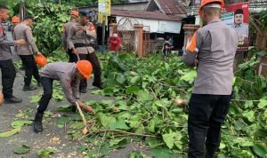 7e3cebcc-5249-48a2-80fd-401987b0abe4