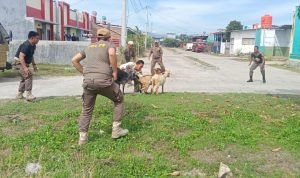 e0907c73-8aee-4c9a-af58-0565807aa276