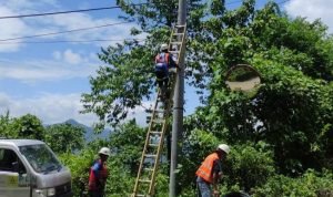 7beedf9b-3978-425f-9de4-d1a37619586f