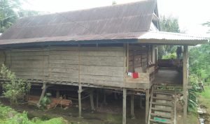 IMG-20240521-WA0044(1)